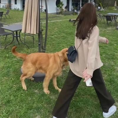 未来天后